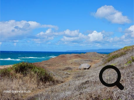 Kaena Point State Park - North 