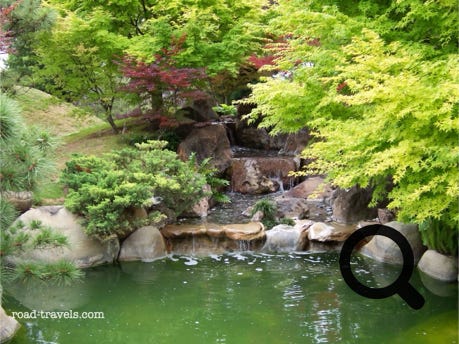 San Antonio Botanical Center & Conservatory 