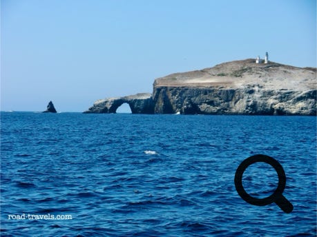Channel Islands National Park 
