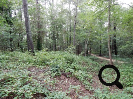 Raleigh Little Theatre Rose Garden 