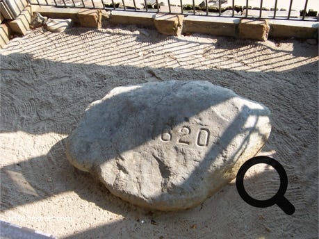 Plymouth Rock 
