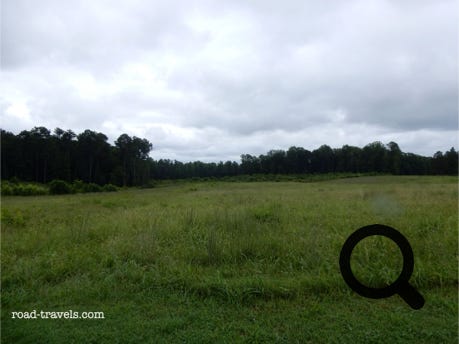 Richmond National Battlefield Park 