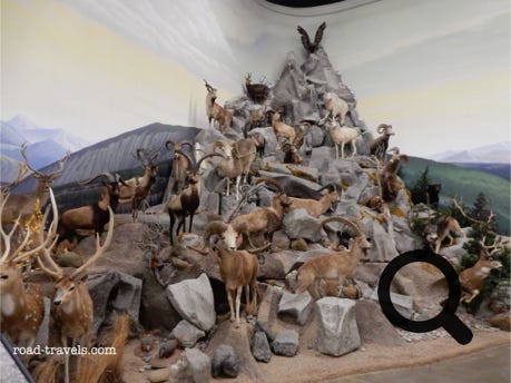 Northeastern Nevada Museum 