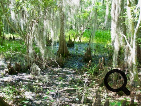 Jean Lafitte National Historical Park and Preserve - Barataria Preserve 