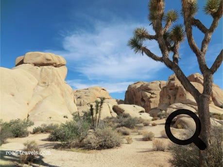 Joshua Tree National Park 