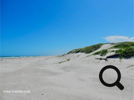 Padre Island National Seashore
