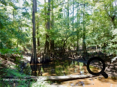 Big Thickey National Preserve