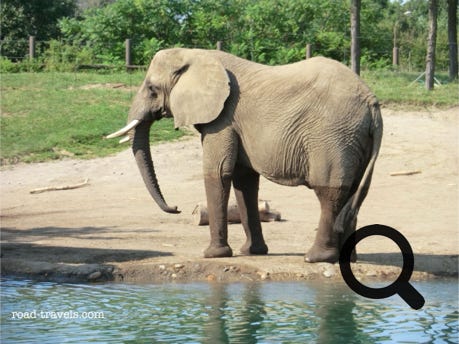 Indianapolis Zoo and Aquarium 