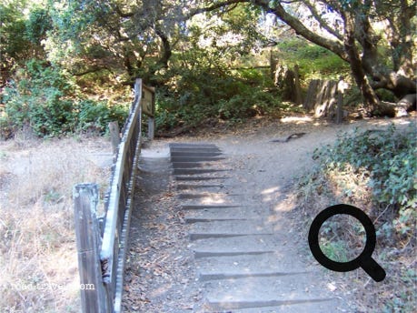 Point Reyes National Seashore 