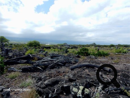 Kaloko-Honokohau National Historical Park 
